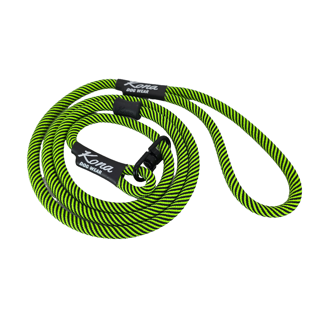 green and black stripped rope dog slip lead