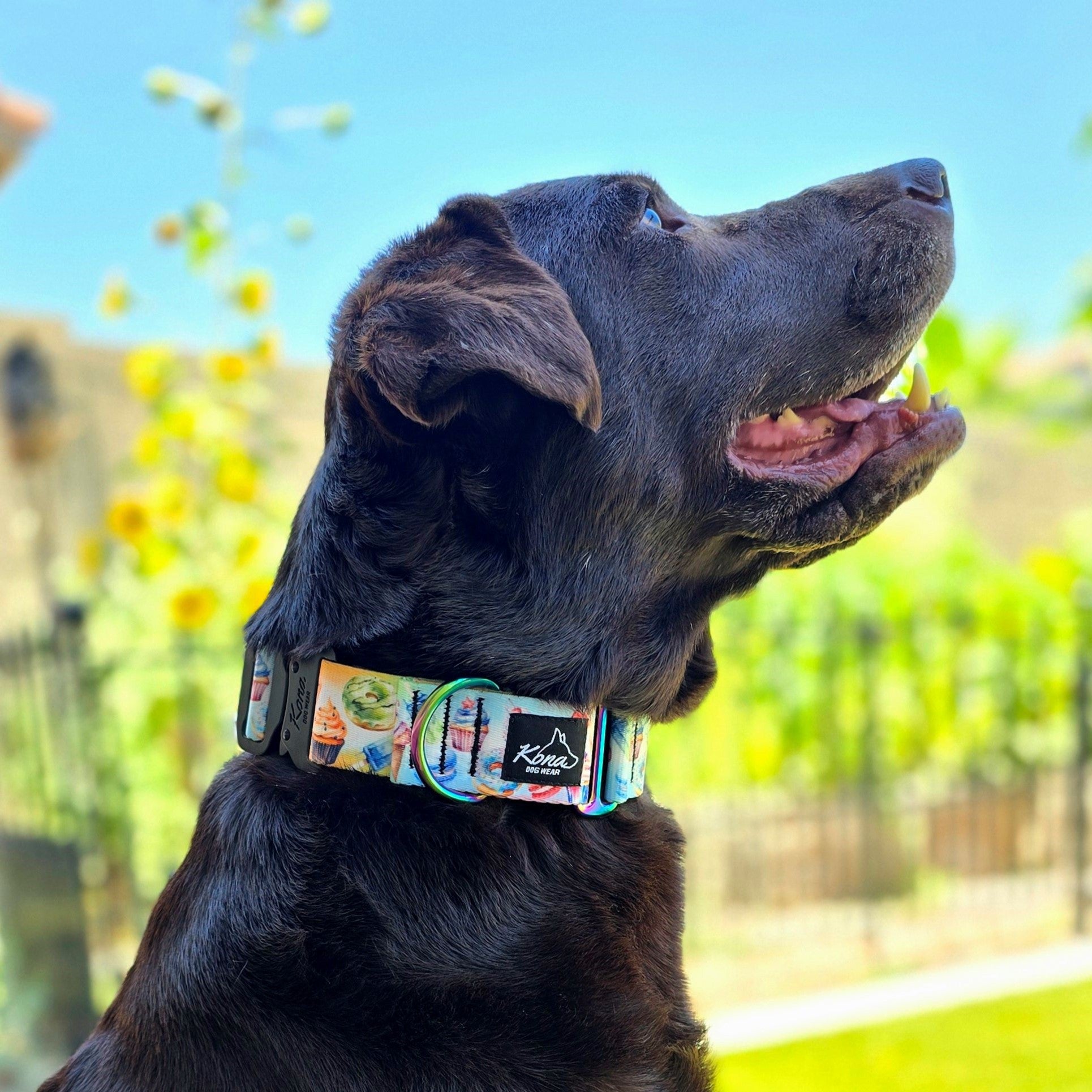 Sugar High Martingale Collar