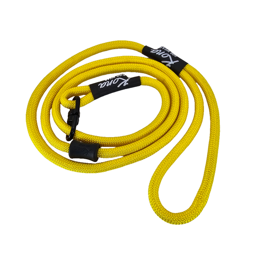 yellow rope dog slip lead
