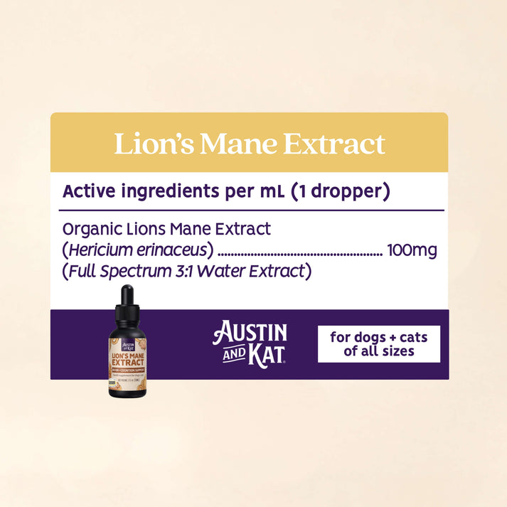 Austin + Kat Lion's Mane Mushroom Extract