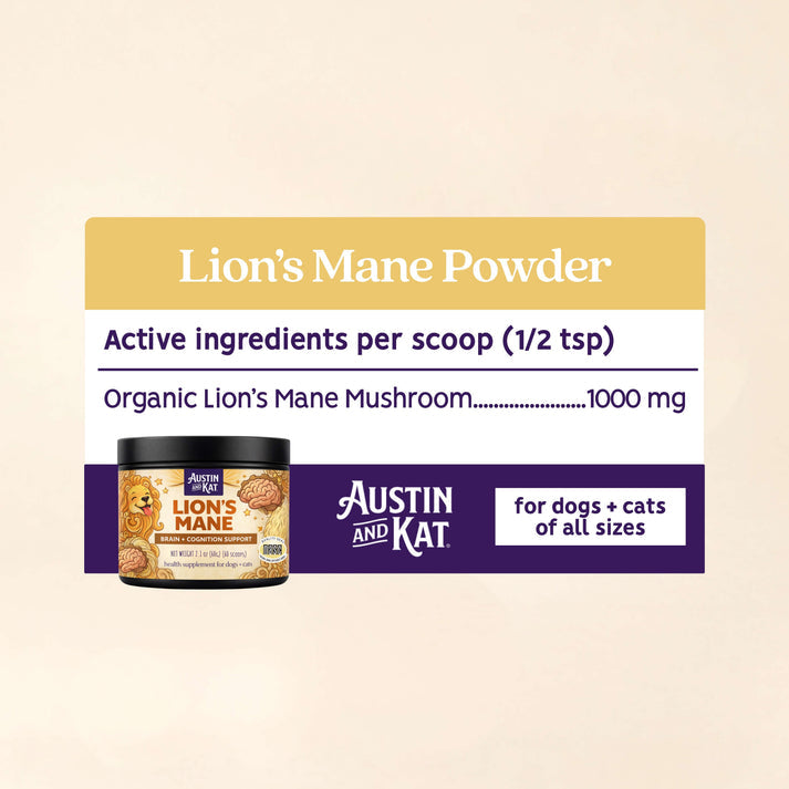 Austin + Kat Lion's Mane Mushroom