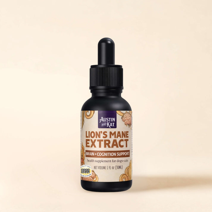 Austin + Kat Lion's Mane Mushroom Extract