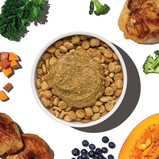 Protein Plus Meal Topper - Honest Kitchen