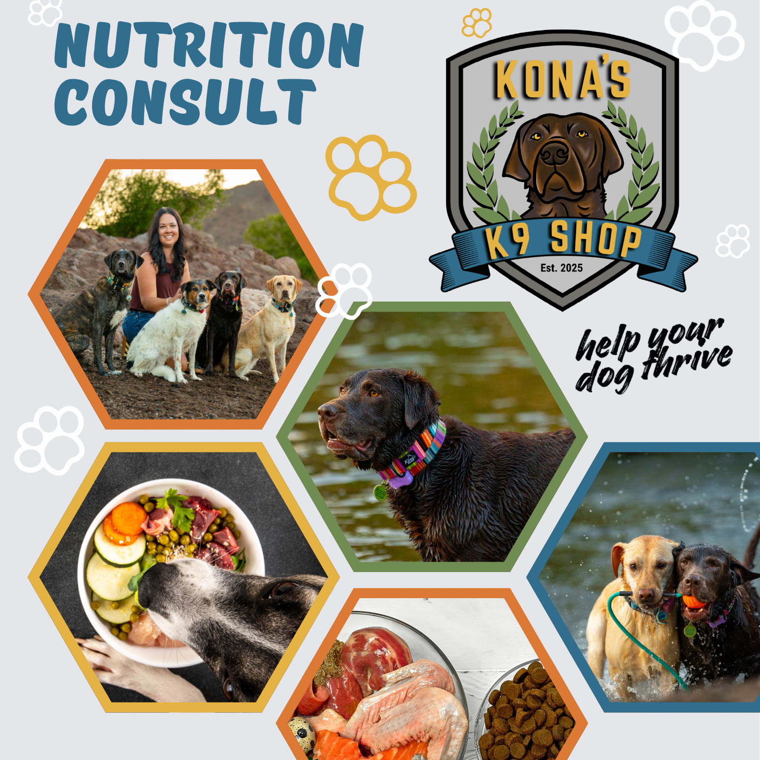 Canine Nutrition Consultation