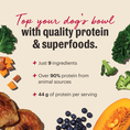 Load image into Gallery viewer, Protein Plus Meal Topper - Honest Kitchen
