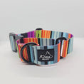 Load and play video in Gallery viewer, Fiesta Martingale Collar
