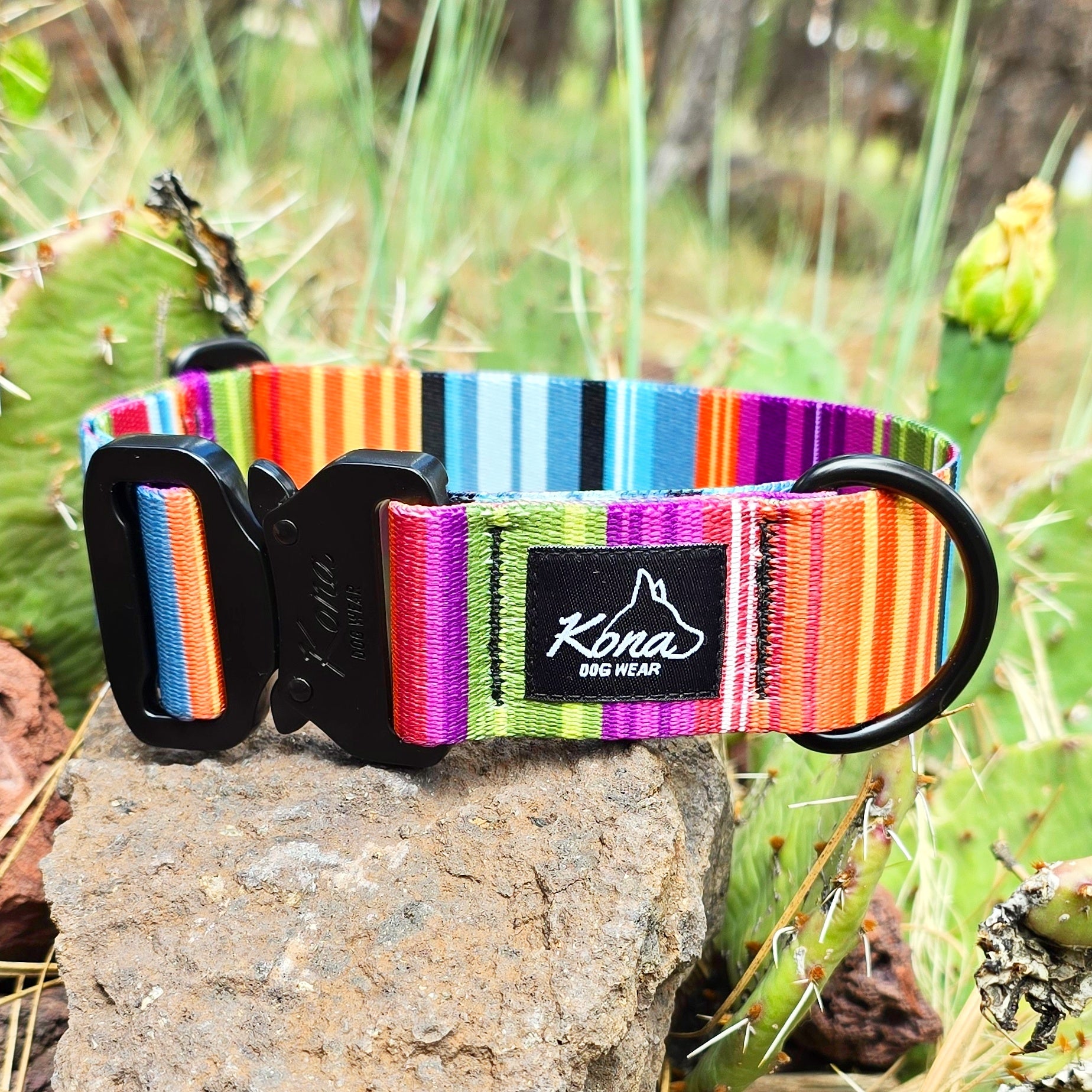 Fiesta Buckle Collar