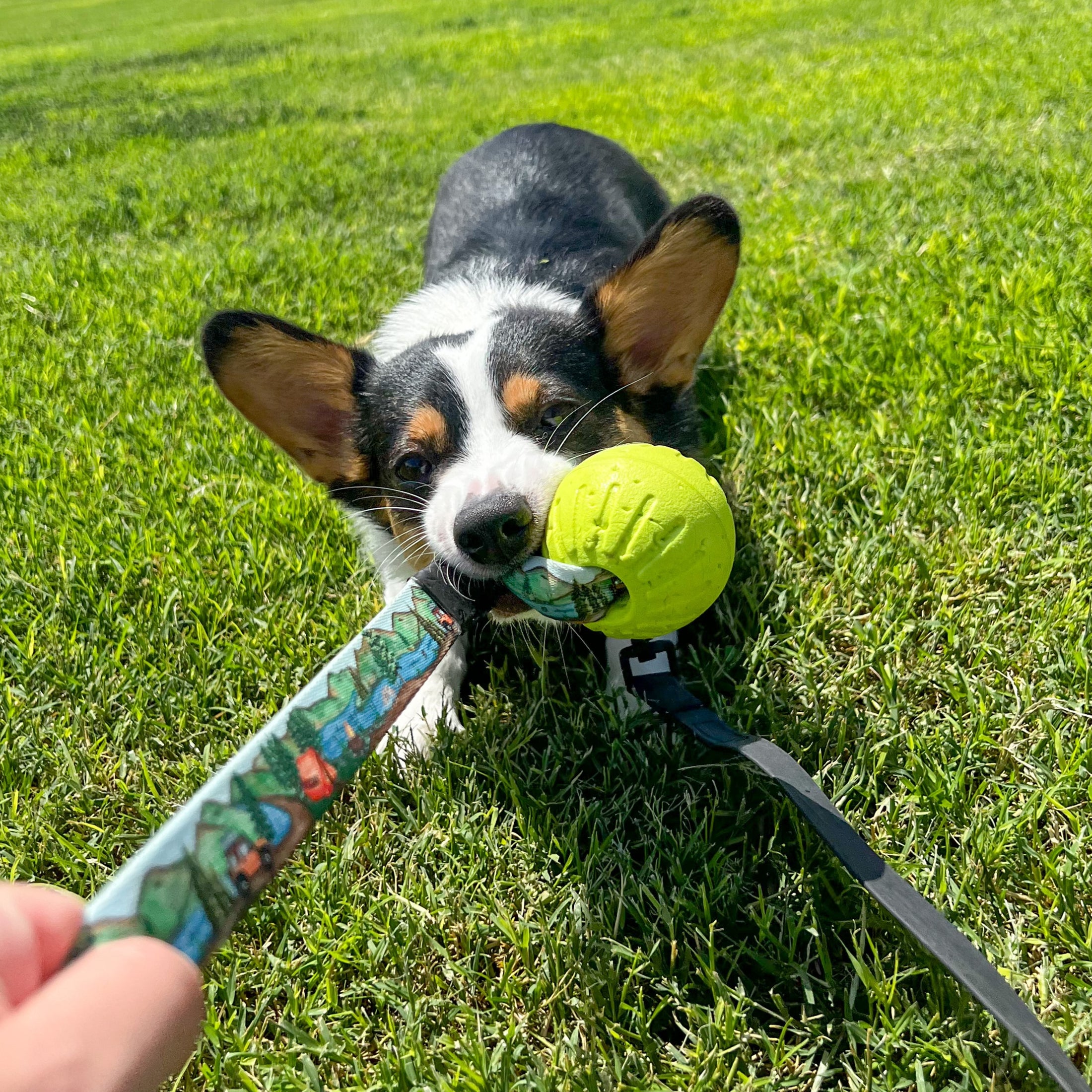 Tundra Tug Toy