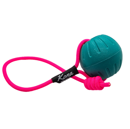 Phoenix Tug Toy - Mystery