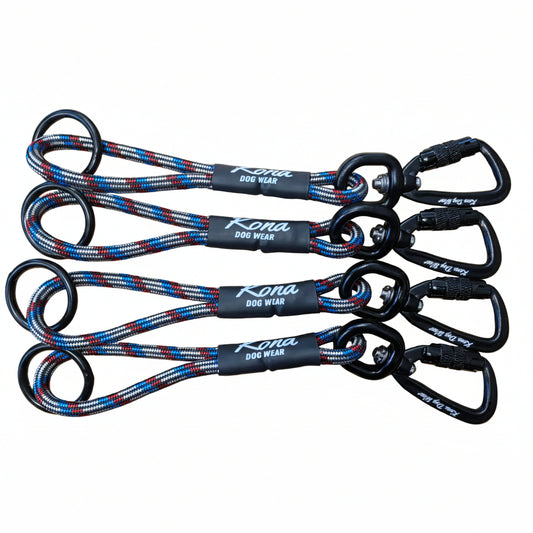 Prong Backup Safety Clip - USA Edition