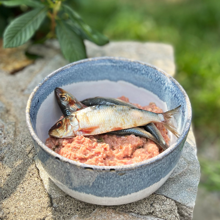 Oma's Pride Frozen Raw Sardines