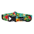 Load image into Gallery viewer, The Tropics Buckle Collar
