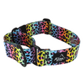 Load image into Gallery viewer, Frankalicious Martingale Collar
